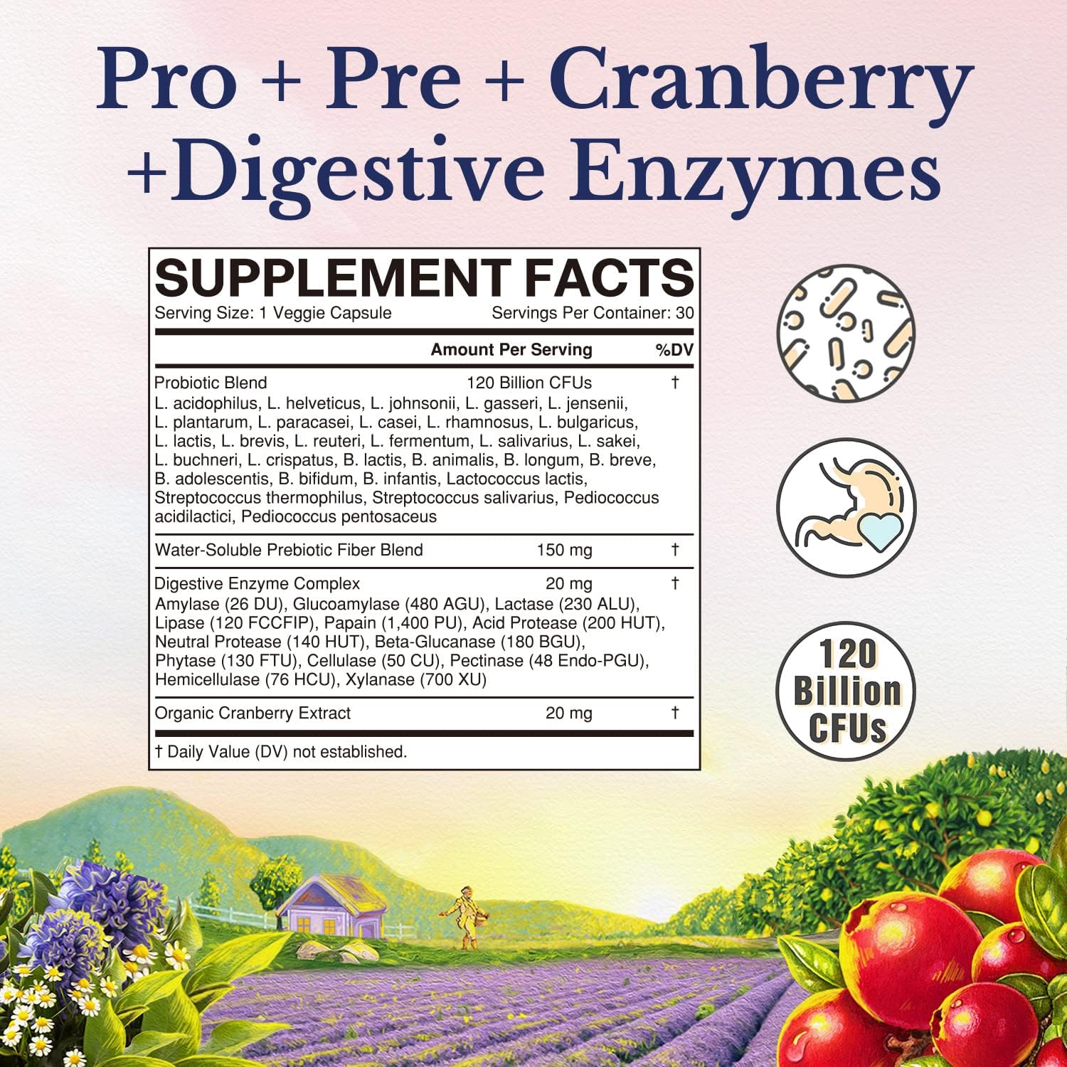 PROBIOTICOS PARA MUJERES 120 BILLONES CFU 30 CAPSULAS VEGETALES SIN GMO VITALITOWN