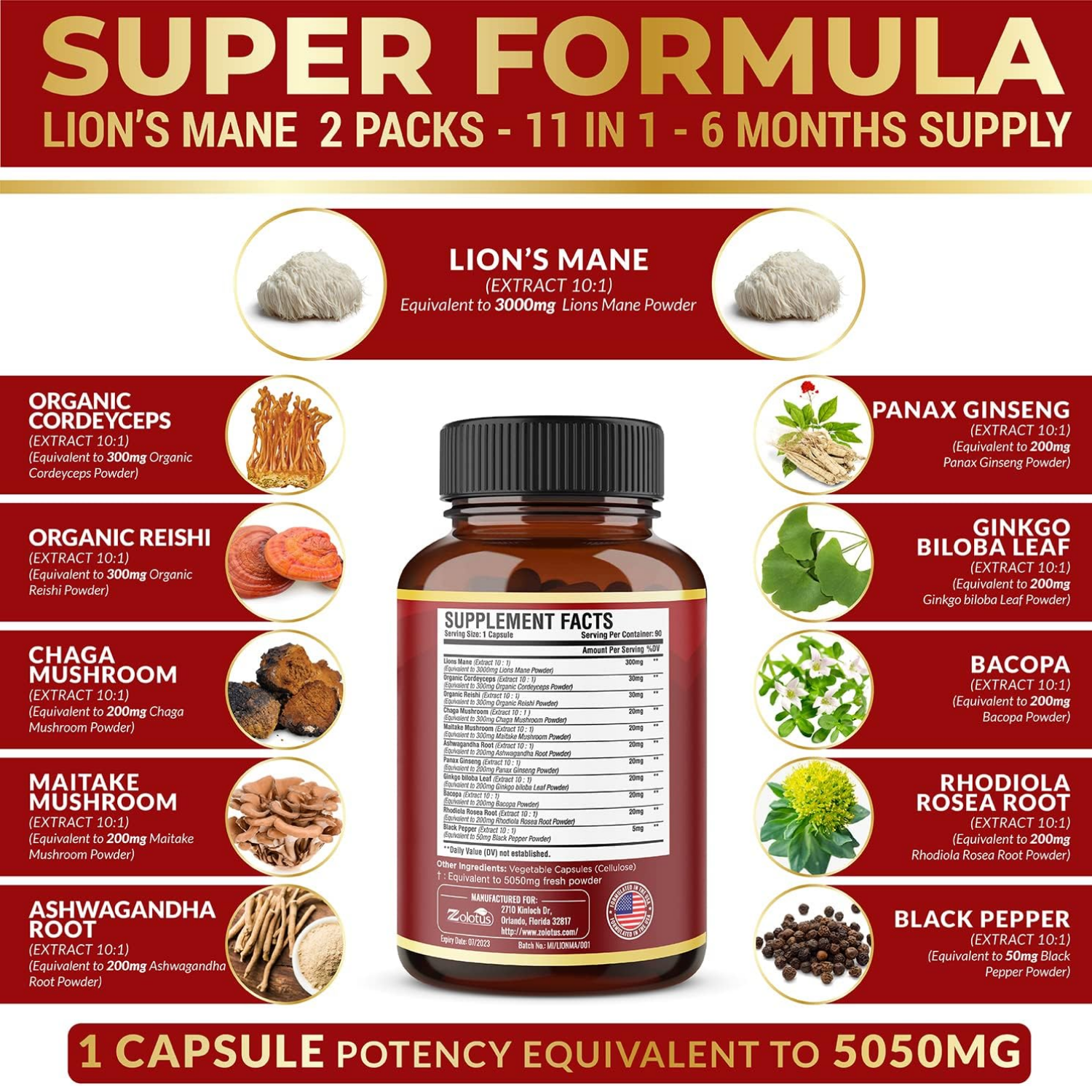 MELENA DE LEON 11 EN 1 5050 MG 90 CAPSULAS ZOLOTUS LIONS MANE