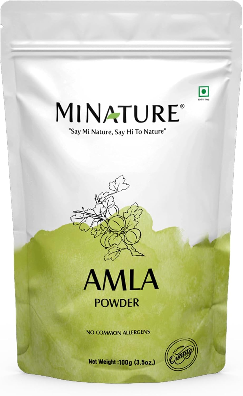 POLVO ORGÁNICO DE AMLA 100 GR MINATURE AMLA ORGANIC POWDER